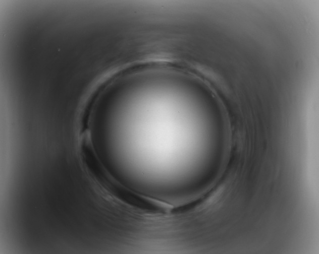 X0000088901406200706151839