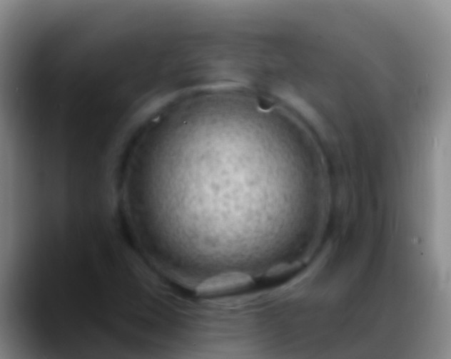 X0000088901407200706151839