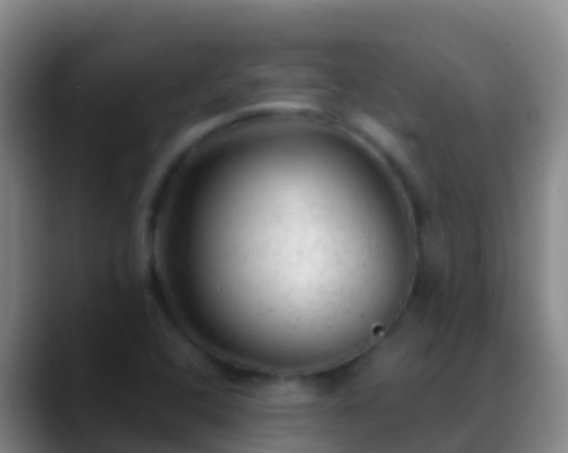 X0000088901408200706151839