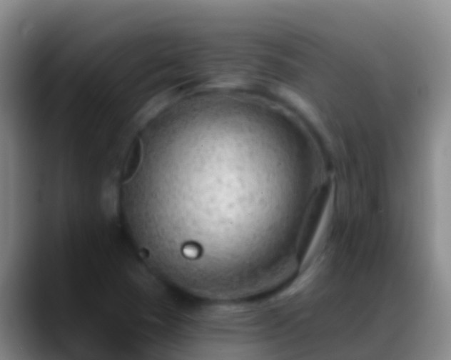 X0000088901409200706151839