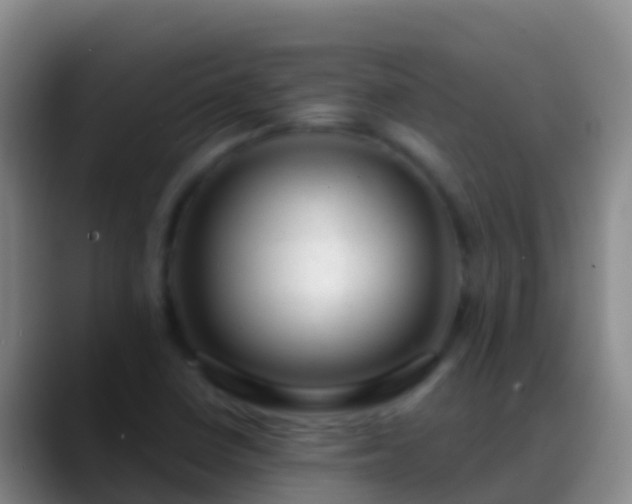 X0000088901410200706151839