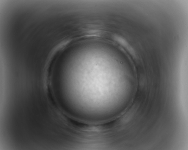 X0000088901411200706151839