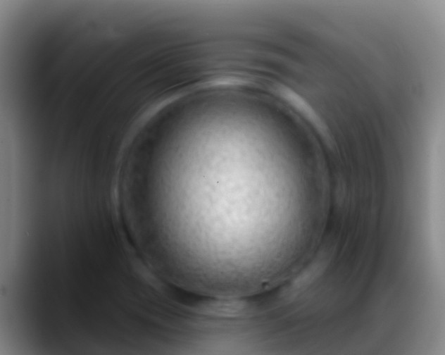 X0000088901417200706151839