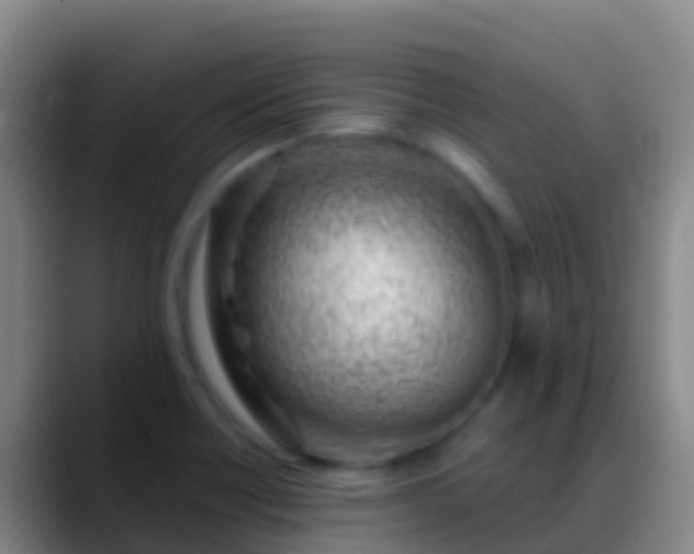 X0000088901418200706151839