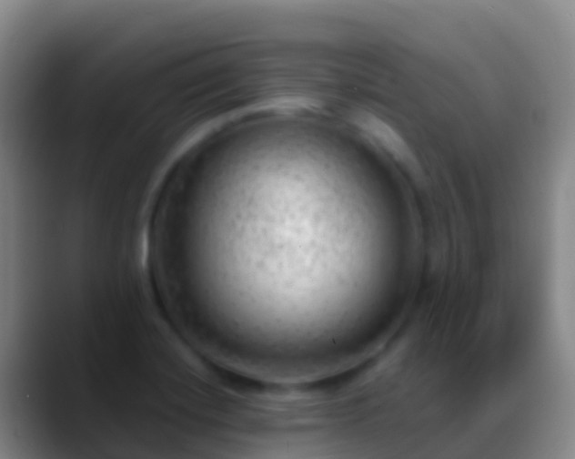 X0000088901420200706151839