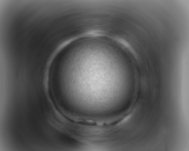 X0000088901421200706151839