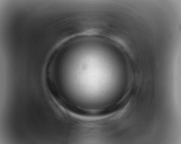 X0000088901422200706151839