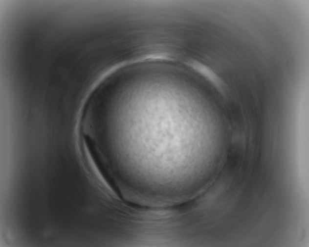 X0000088901423200706151839