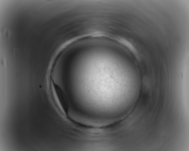 X0000088901424200706151839