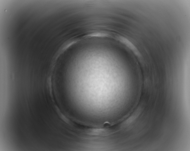 X0000088901425200706151839