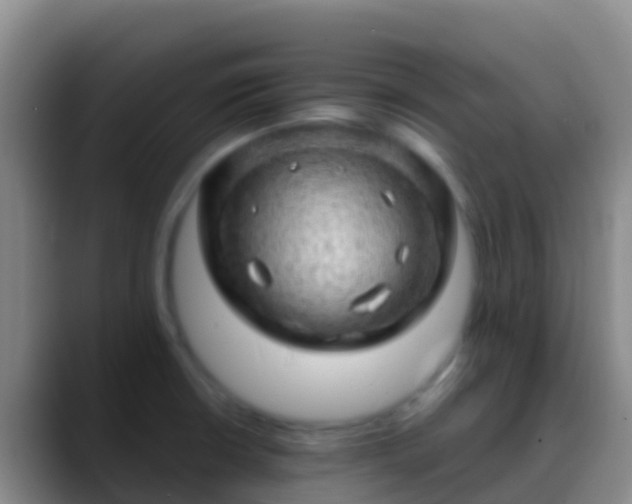 X0000088901426200706151839