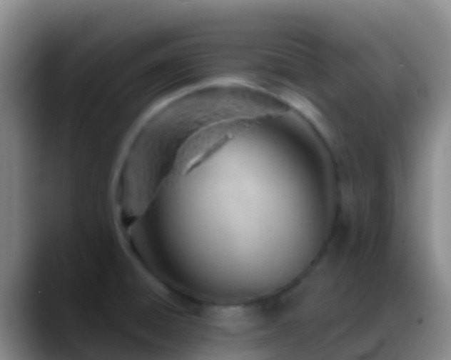 X0000088901428200706151840