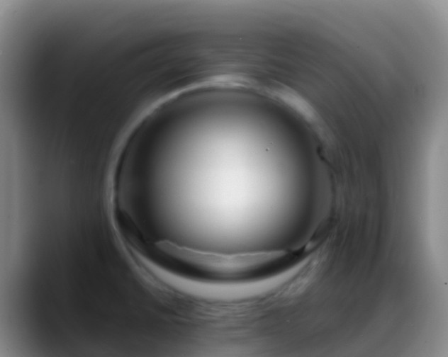 X0000088901430200706151840