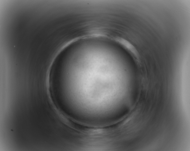 X0000088901431200706151840
