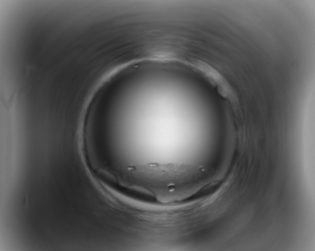 X0000088901432200706151840