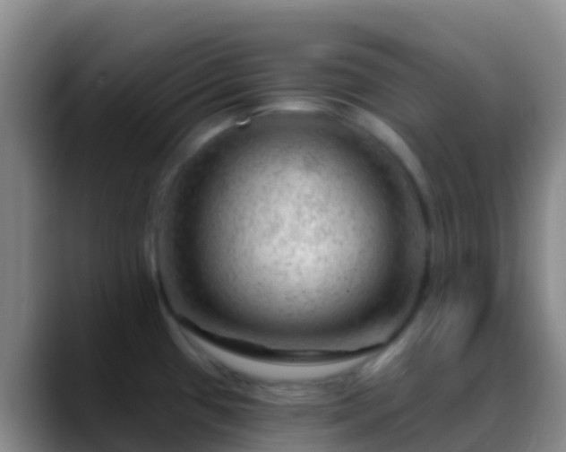X0000088901433200706151840