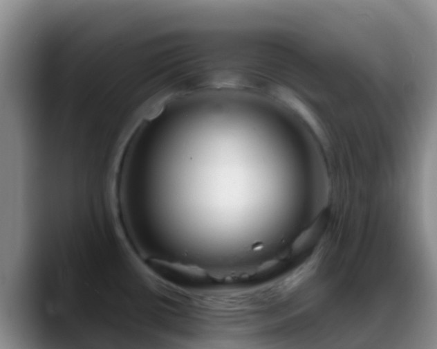 X0000088901434200706151840