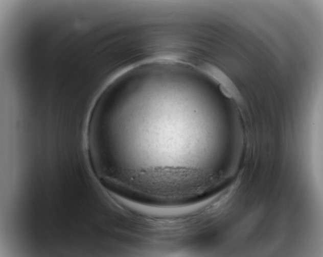 X0000088901436200706151840