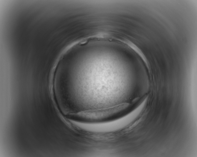 X0000088901437200706151840
