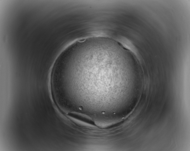 X0000088901439200706151840