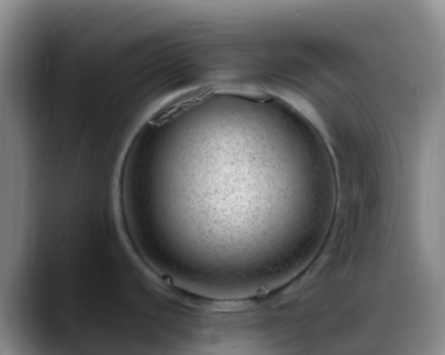 X0000088901440200706151840