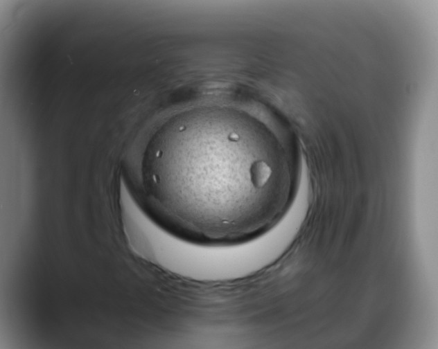 X0000088901441200706151839
