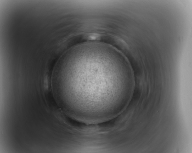 X0000088901442200706151839