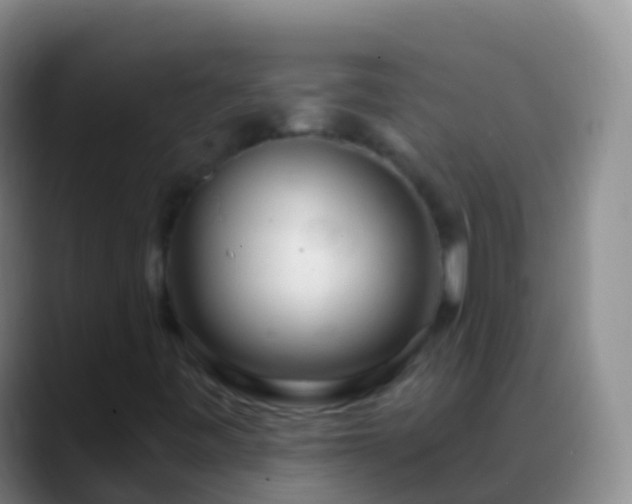 X0000088901443200706151839