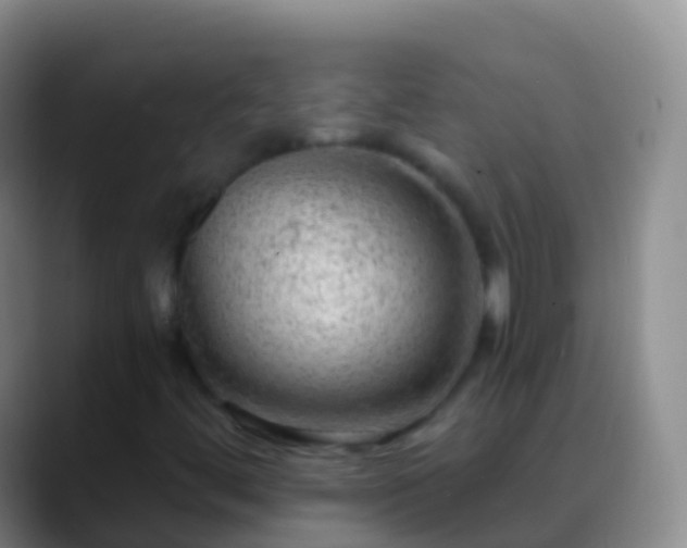 X0000088901444200706151839