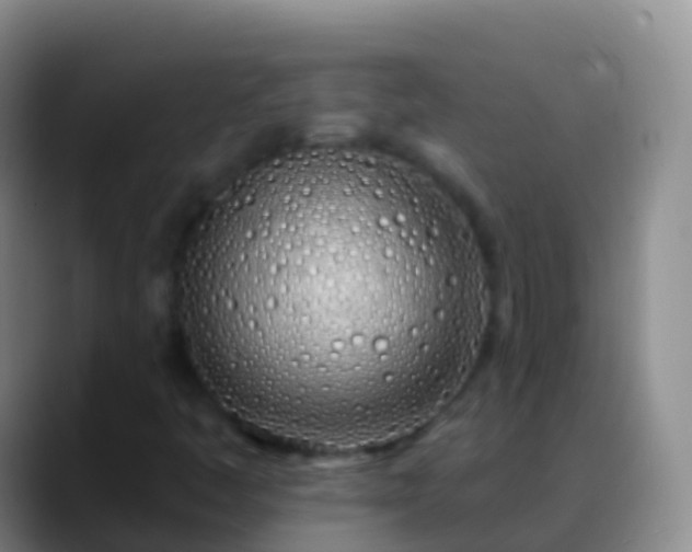 X0000088901445200706151839