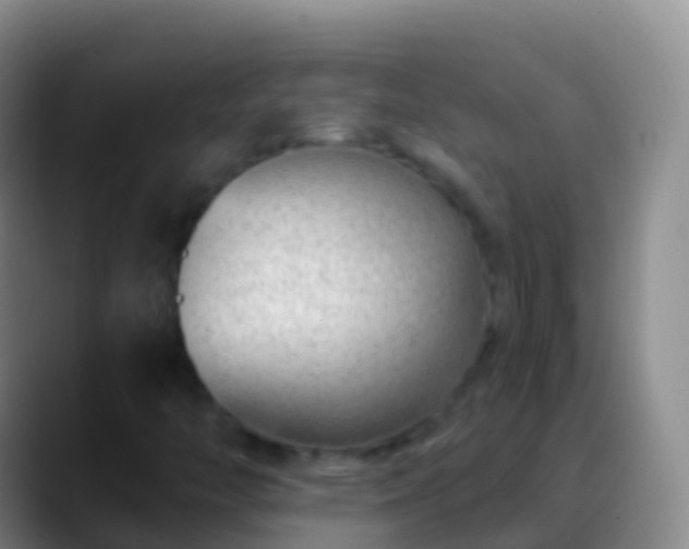 X0000088901446200706151839