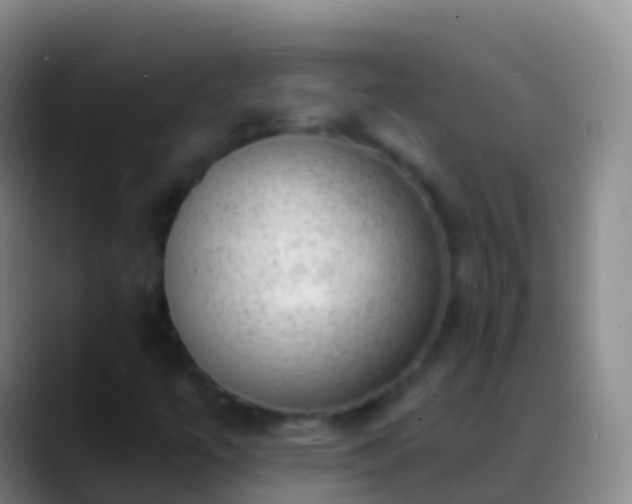 X0000088901447200706151839