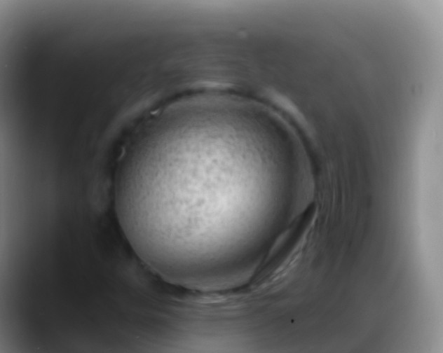 X0000088901448200706151839