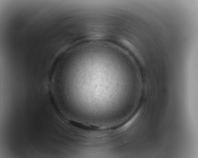 X0000088901449200706151839