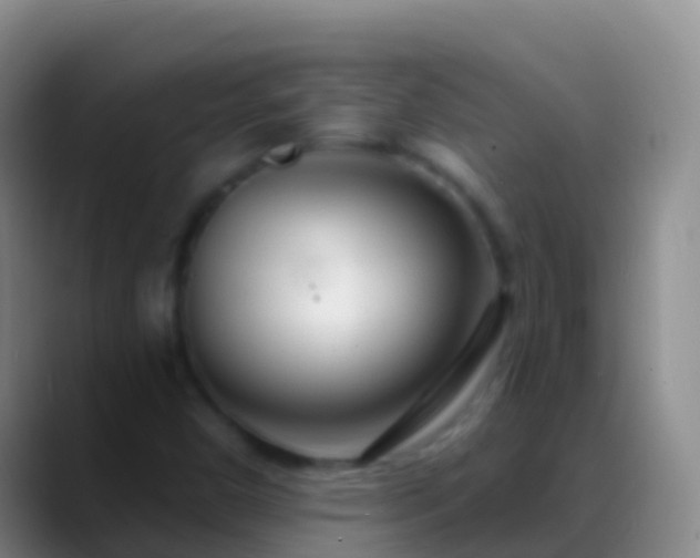 X0000088901450200706151839