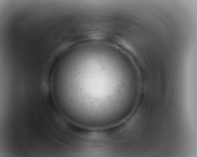 X0000088901451200706151839