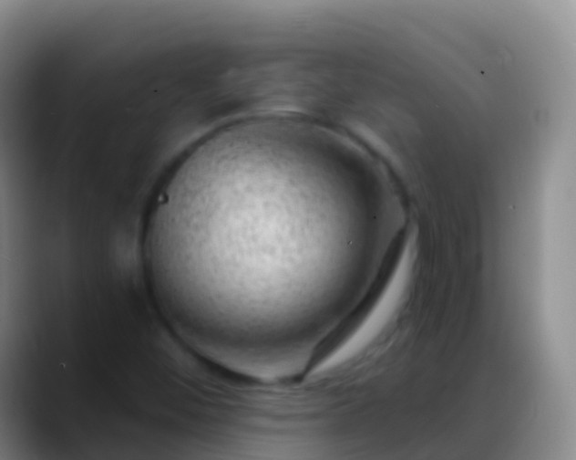 X0000088901452200706151839