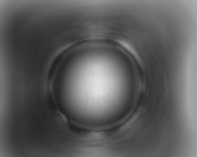 X0000088901453200706151839