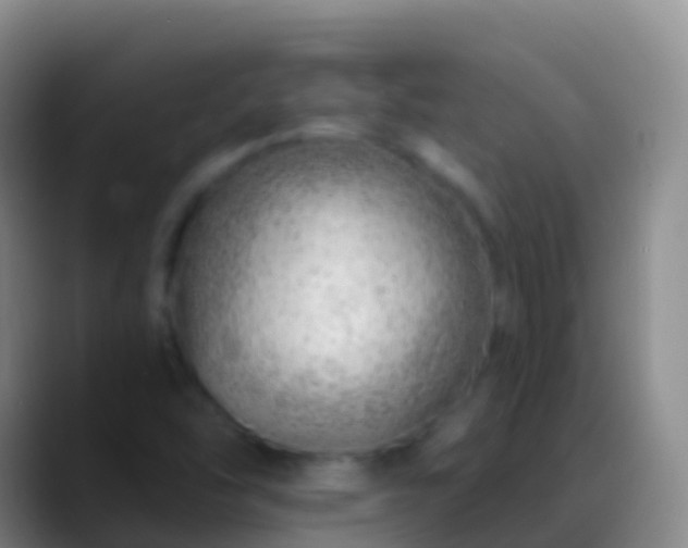 X0000088901454200706151839