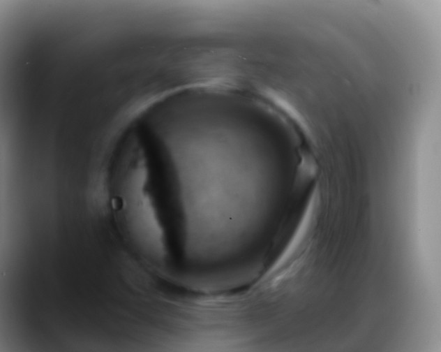 X0000088901455200706151839