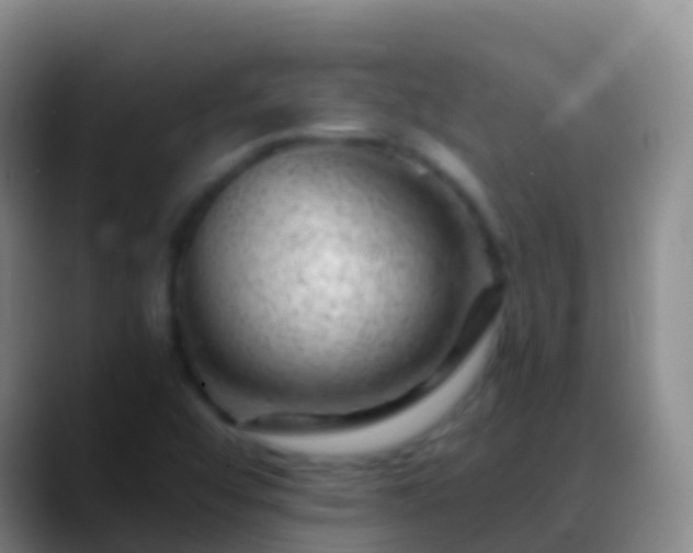 X0000088901456200706151839