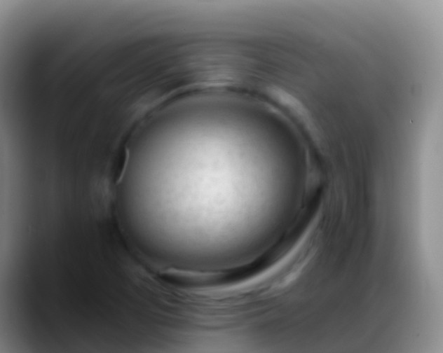 X0000088901457200706151839