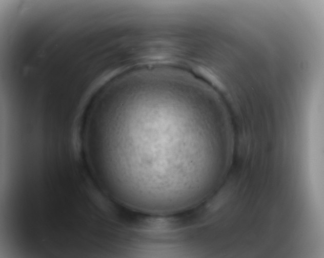 X0000088901458200706151839