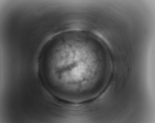 X0000088901459200706151839