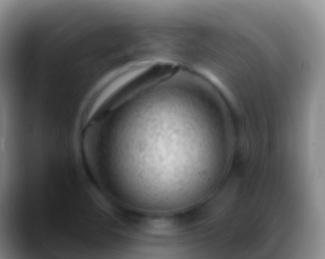 X0000088901460200706151839