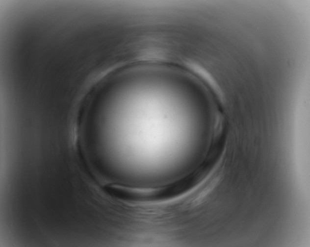 X0000088901461200706151839