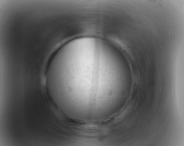 X0000088901462200706151839
