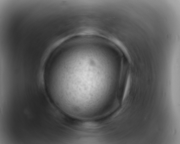 X0000088901464200706151839