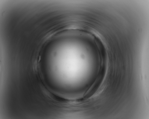 X0000088901465200706151839