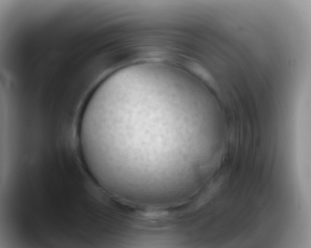 X0000088901466200706151839